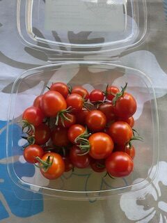 Cherry Tomatoes