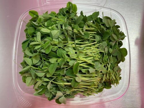 Pea Shoots