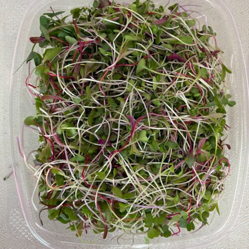 Braddah's Sandwich Booster