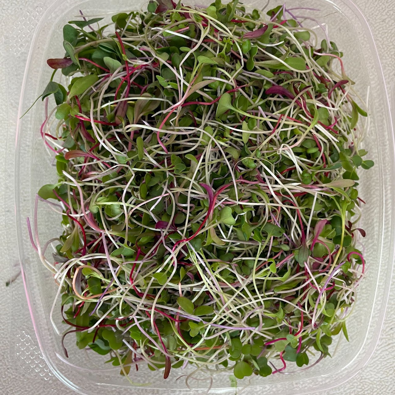 Braddah's Sandwich Booster